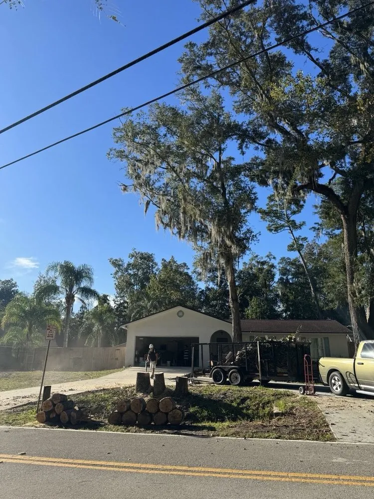 Top-rated landscaping services for year-round maintenance in Jacksonville, FL by Tim’s tree removal