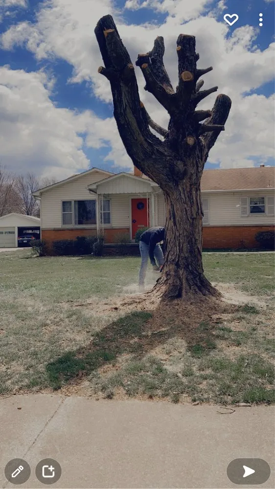 Expert landscaping services experts serving Marshfield, MO - Tim's Tree Service and Yard Care