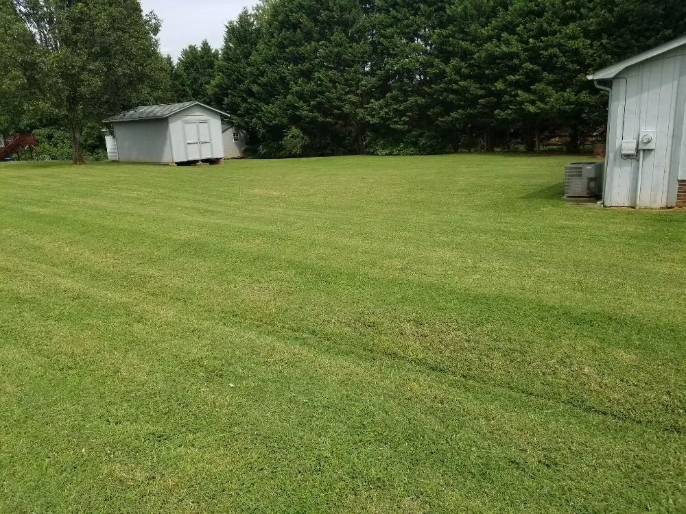 Professional landscape design for outdoor upgrades in Hickory, NC by Tim's Trims Landscaping and Lawncare