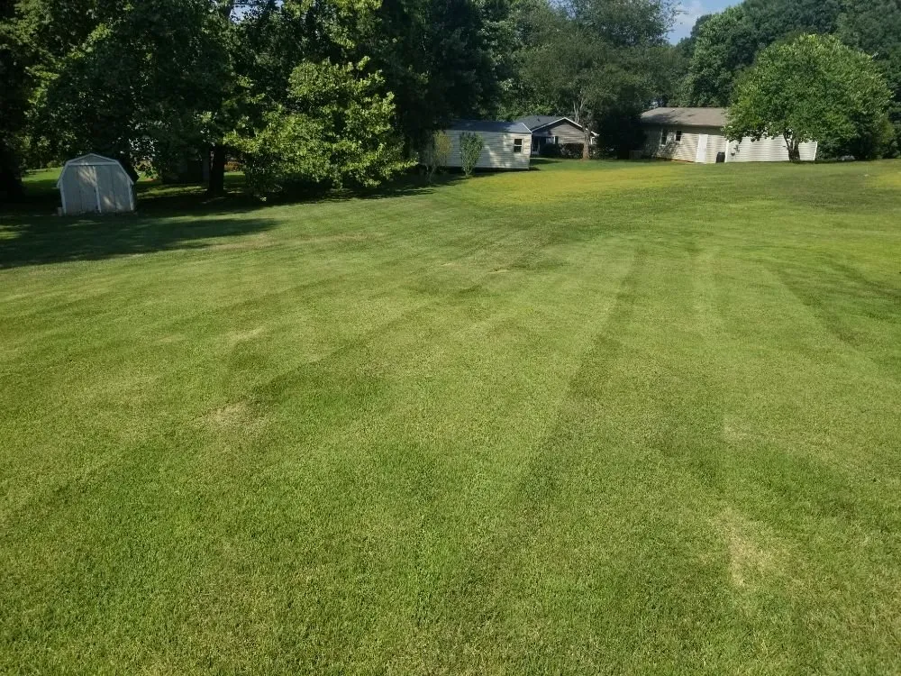 Professional residential landscaping for year-round maintenance in Hickory, NC by Tim's Trims Landscaping and Lawncare