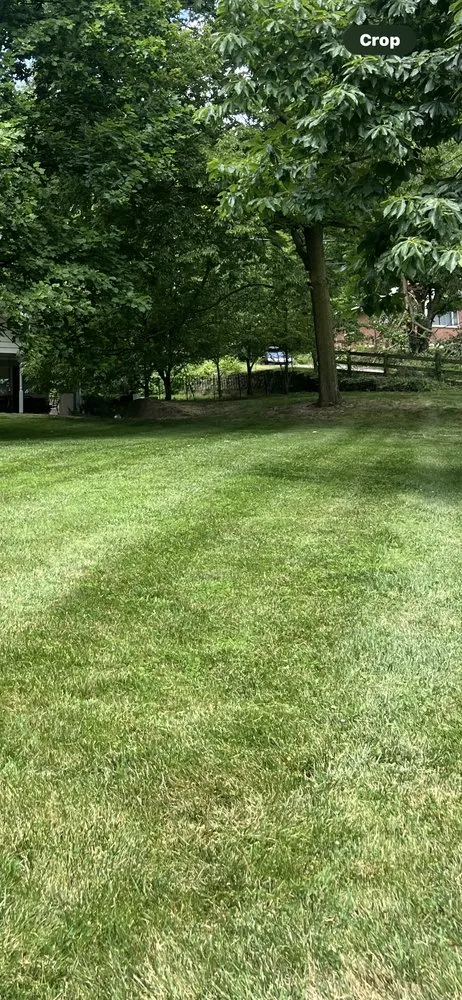 Reliable yard cleanup service for outdoor upgrades in Lafayette, IN by Tim’s Trims Lawn Service