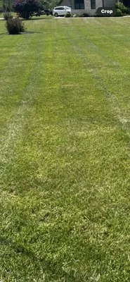 Tim’s Trims Lawn Service Logo