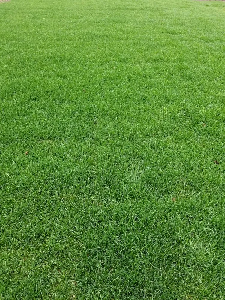 Local outdoor landscaping in Litchfield, NH by Tim's Turf & Landscaping Materials