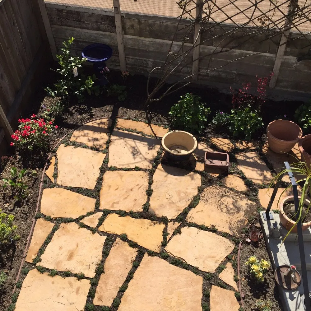 Professional landscape installation for year-round maintenance in San Francisco, CA by Tin Landscaping