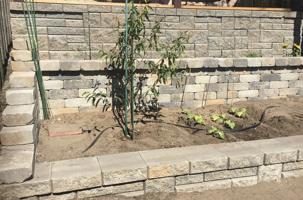 Professional landscape installation in San Francisco, CA - Tin Landscaping