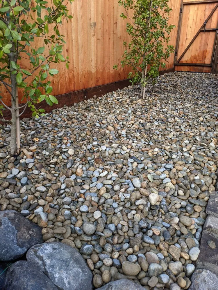 Trusted landscape installation in San Francisco, CA - Tin Landscaping