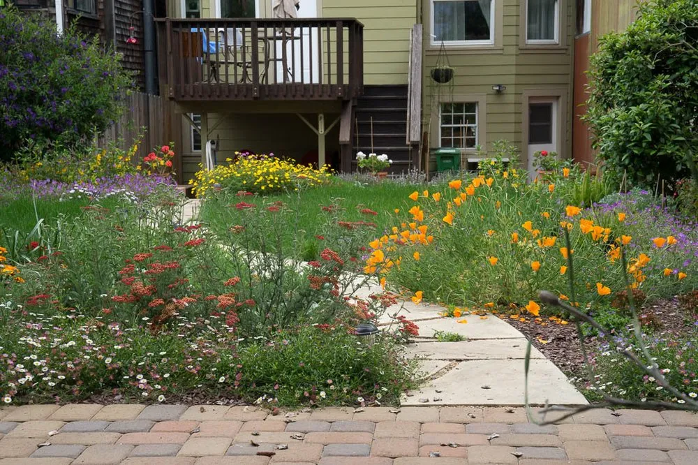 Trusted yard maintenance for year-round maintenance across San Francisco, CA - Tin Landscaping