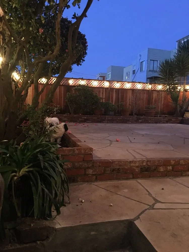 Local yard maintenance experts serving San Francisco, CA - Tin Landscaping