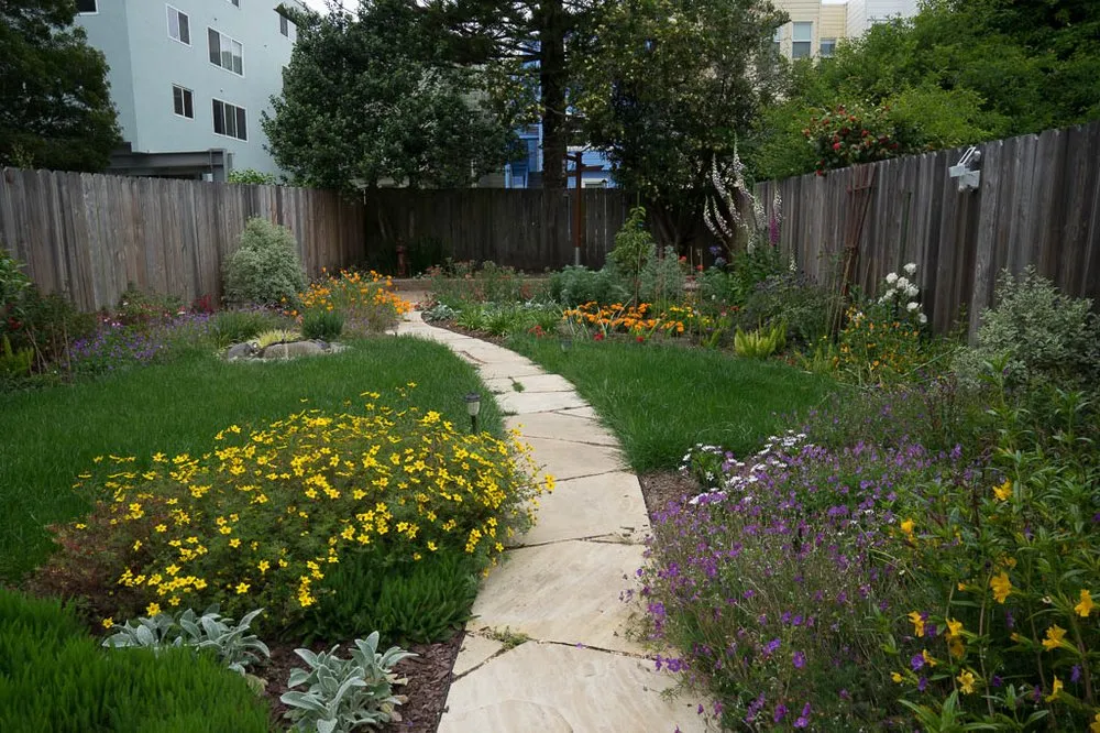 Professional lawn care service in San Francisco, CA by Tin Landscaping