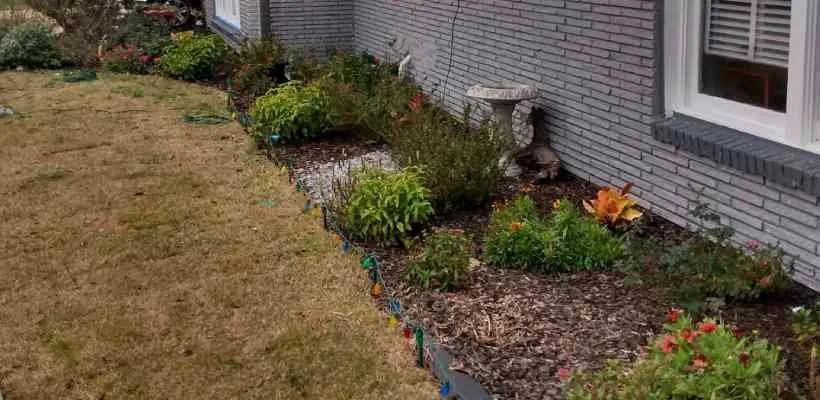 Professional landscape design for homes across Gulfport, MS - Tinas Home Services