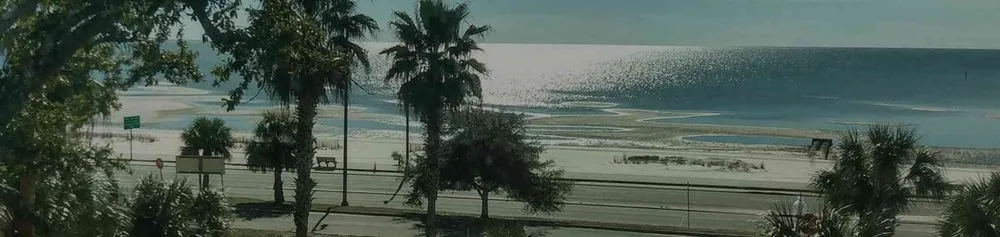 Reliable landscape design for year-round maintenance across Gulfport, MS - Tinas Home Services