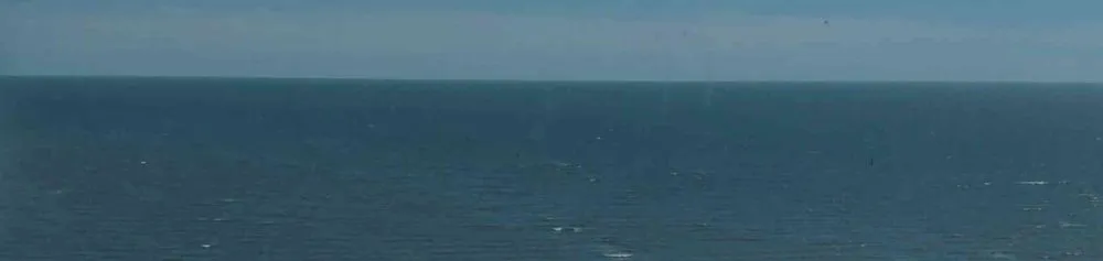 Trusted lawn mowing service near you in Gulfport, MS by Tinas Home Services