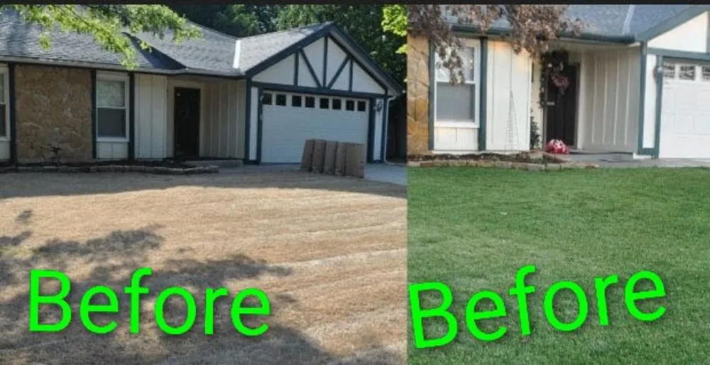 Expert garden landscaping in Mebane, NC by Tina's Trusted Cleaning Service