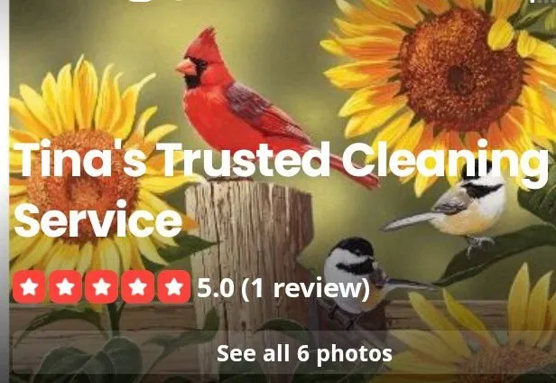 Professional residential landscaping experts serving Mebane, NC - Tina's Trusted Cleaning Service