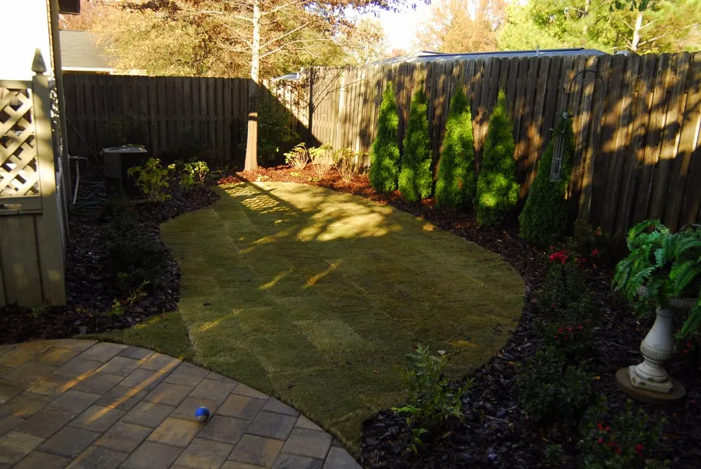 Professional yard cleanup service for residential properties in Tuscaloosa, AL by Tinco Landscape