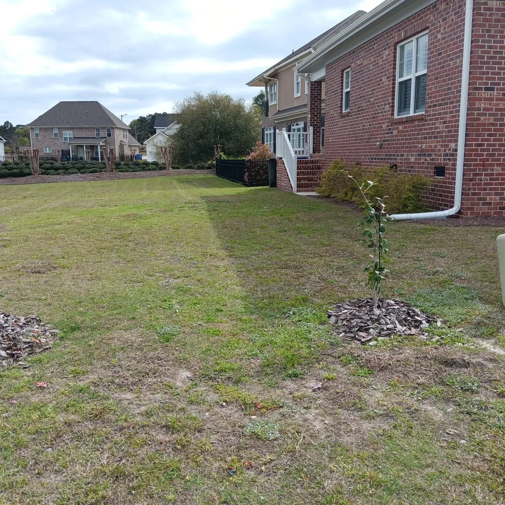 Reliable residential landscaping for residential properties in Eastover, NC by Tingen Mow & Trim