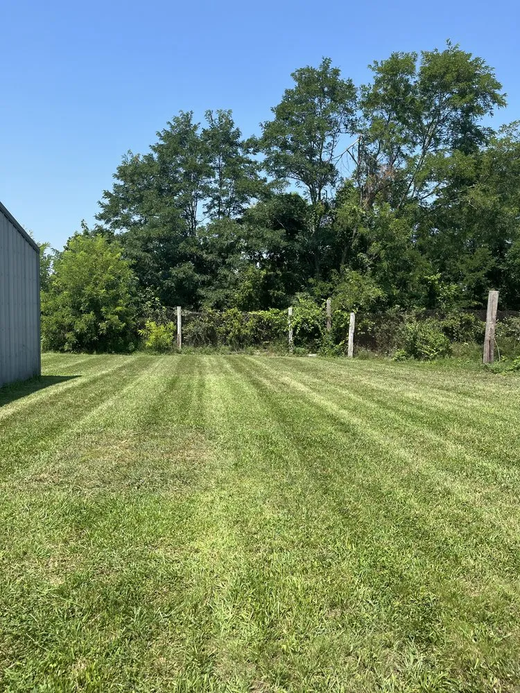 Top-rated outdoor landscaping for homes in Pleasureville, KY by Tingles Lawn and Landscape