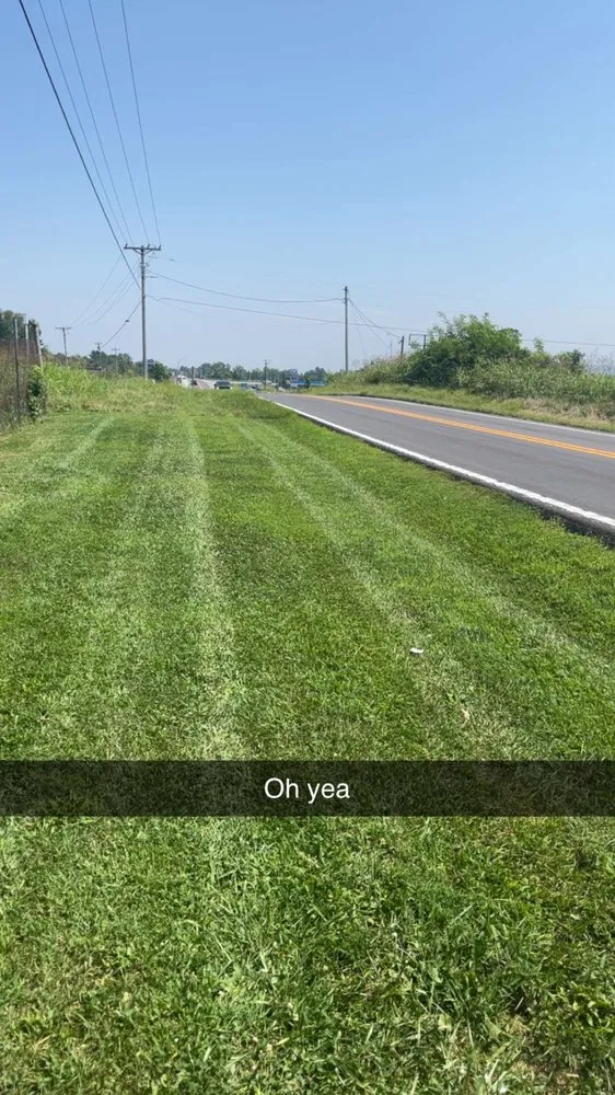 Expert yard maintenance in Pleasureville, KY by Tingles Lawn and Landscape