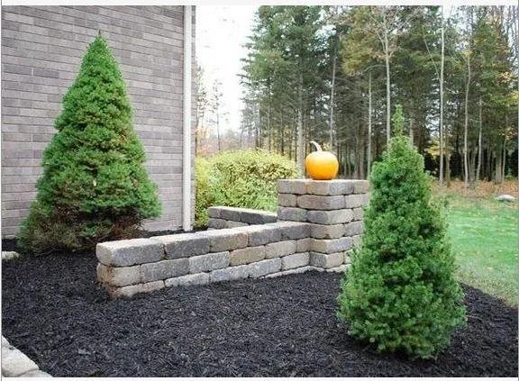 Professional landscape installation in Camillus, NY by Tingley Landscapes