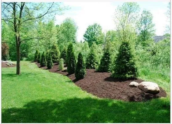Affordable lawn care service in Camillus, NY by Tingley Landscapes