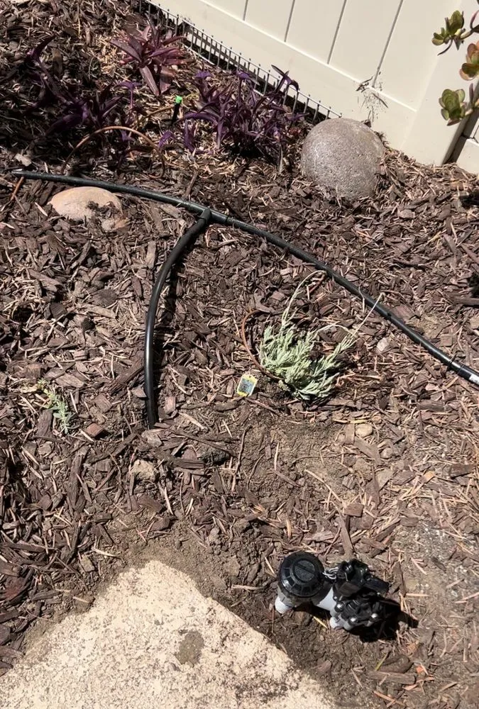 Expert landscape installation with custom design across San Diego, CA - Tinh's Lawn Care and irrigation