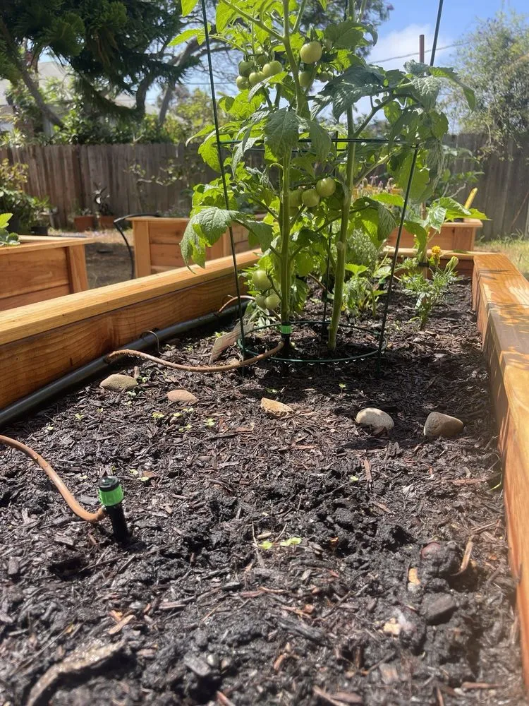 Top-rated yard maintenance experts serving San Diego, CA - Tinh's Lawn Care and irrigation