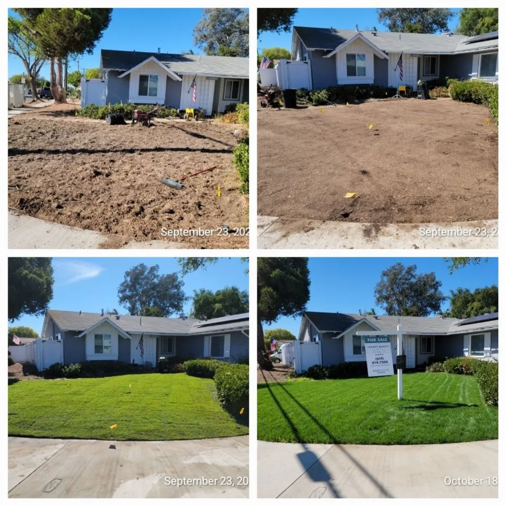 Professional residential landscaping in San Diego, CA - Tinh's Lawn Care and irrigation