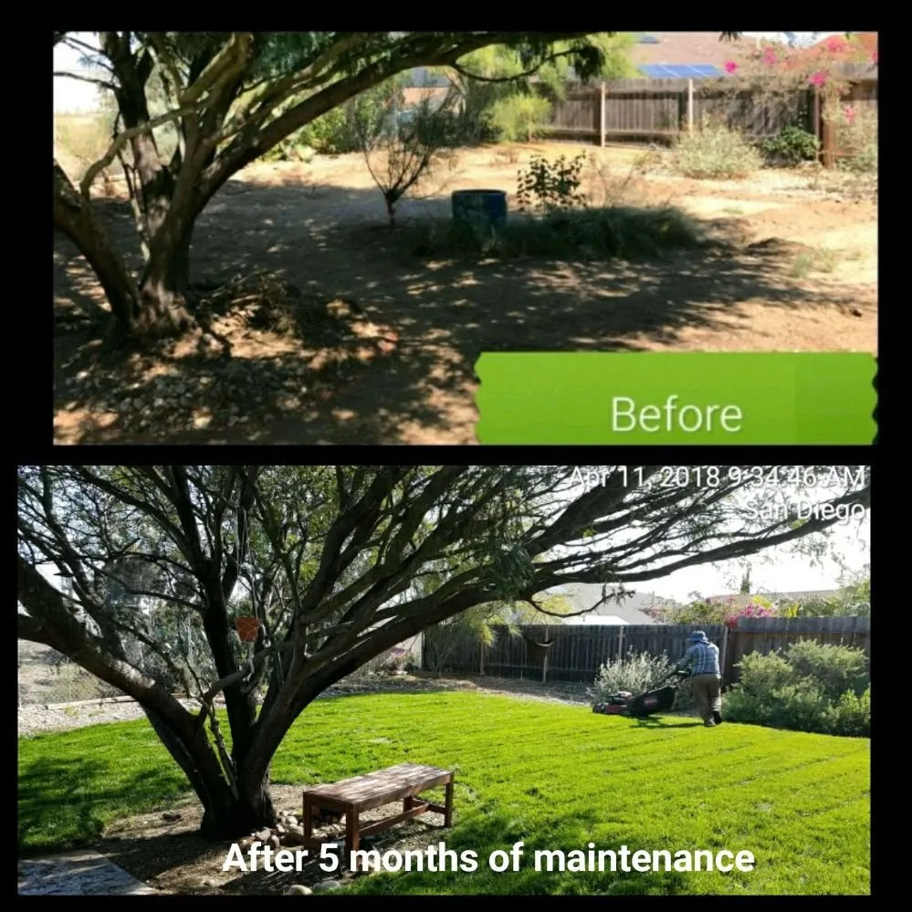 Expert yard maintenance in San Diego, CA - Tinh's Lawn Care and irrigation