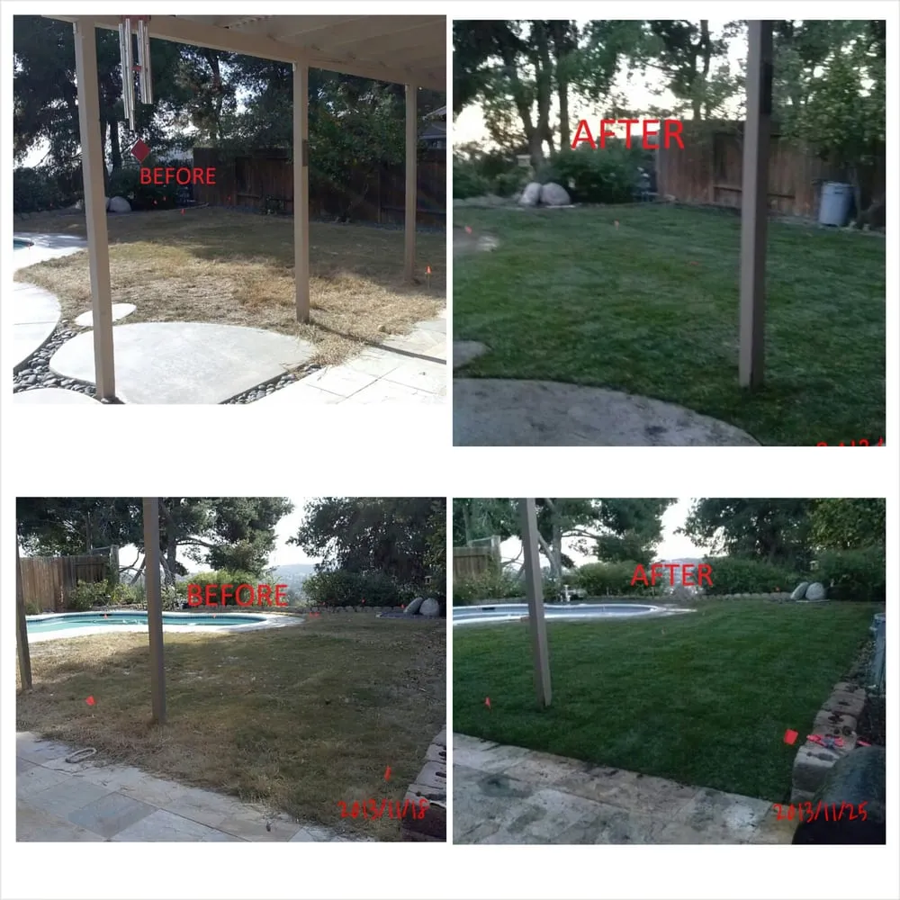Reliable yard cleanup service near you across San Diego, CA - Tinh's Lawn Care and irrigation