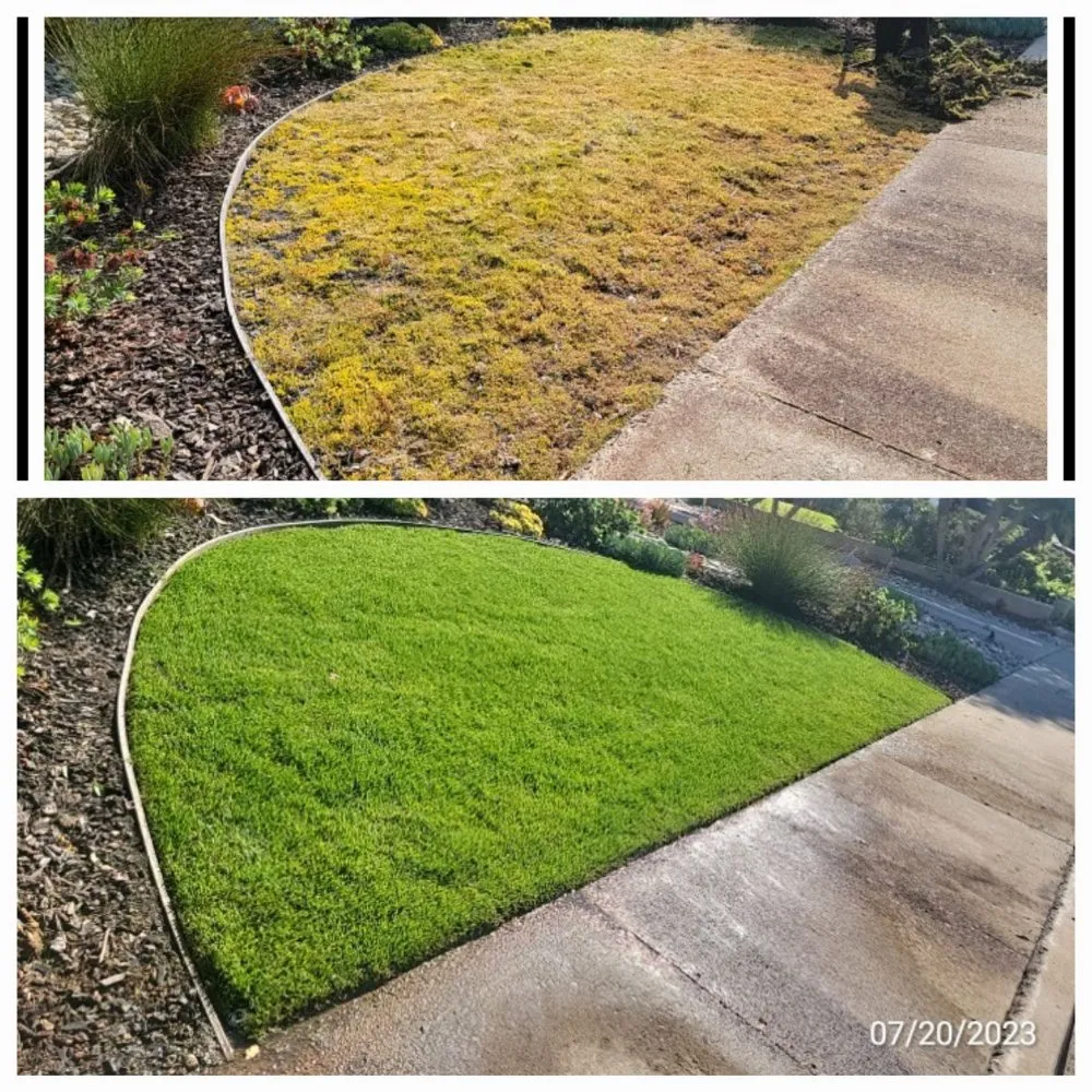 Trusted yard cleanup service in San Diego, CA by Tinh's Lawn Care and irrigation