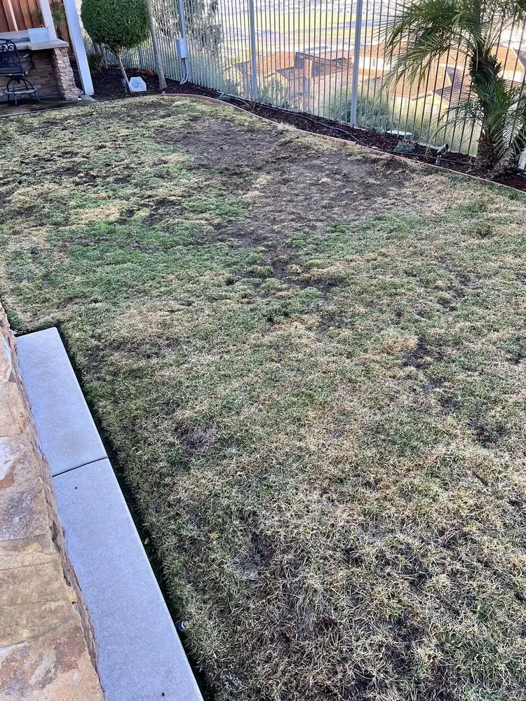 Top-rated yard maintenance in San Diego, CA - Tinh's Lawn Care and irrigation