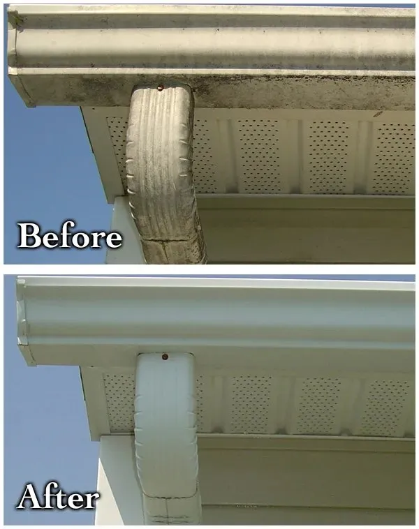 Professional landscaping services for year-round maintenance across Athens, GA - Tinman Homes