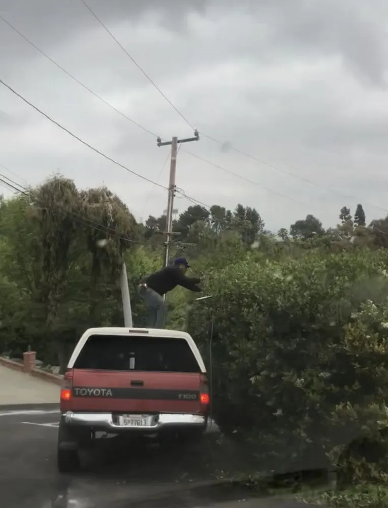 Expert landscape installation with custom design in Huntington Beach, CA by Tino & Son's Landscaping