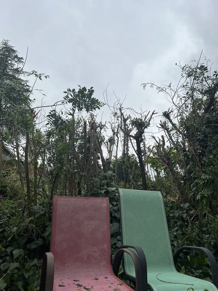 Reliable landscaping services for outdoor upgrades in Huntington Beach, CA by Tino & Son's Landscaping