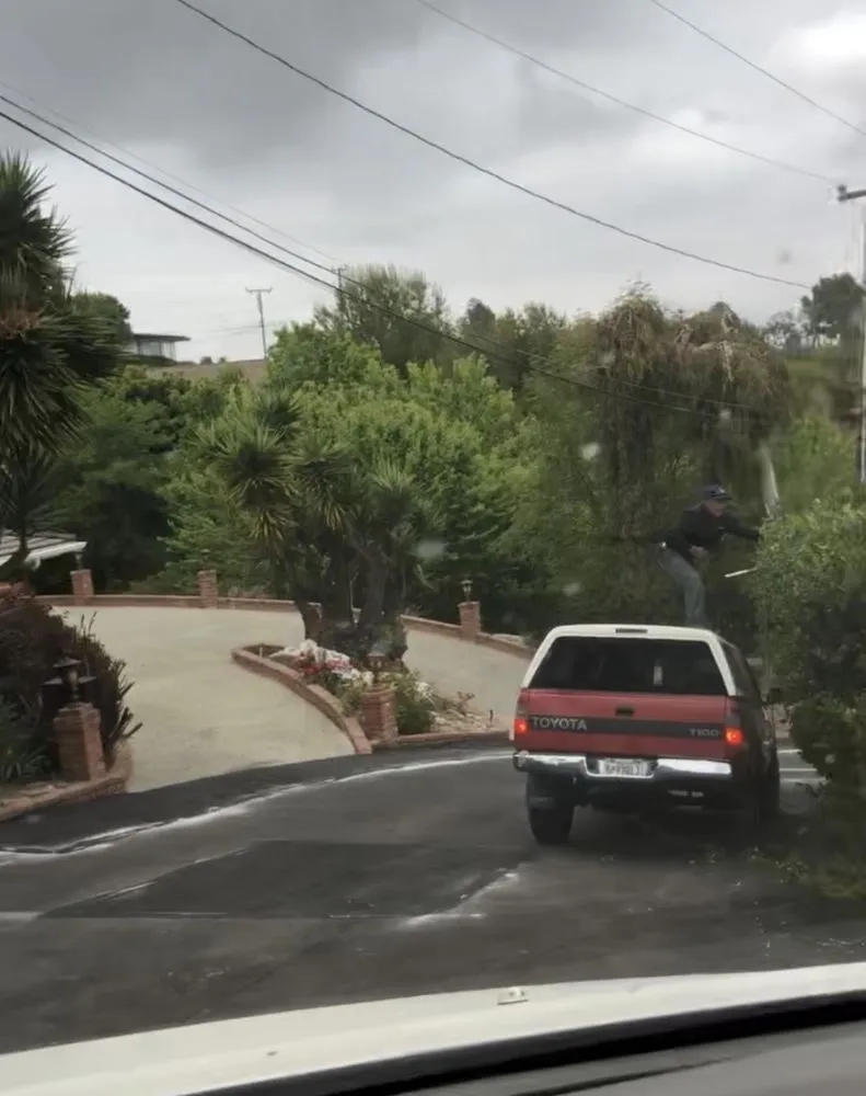 Affordable yard cleanup service for residential properties across Huntington Beach, CA - Tino & Son's Landscaping