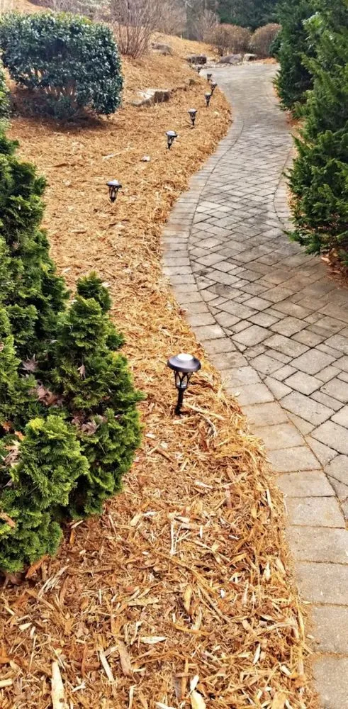 Reliable yard cleanup service in Nebo, NC - Tino Landscapes