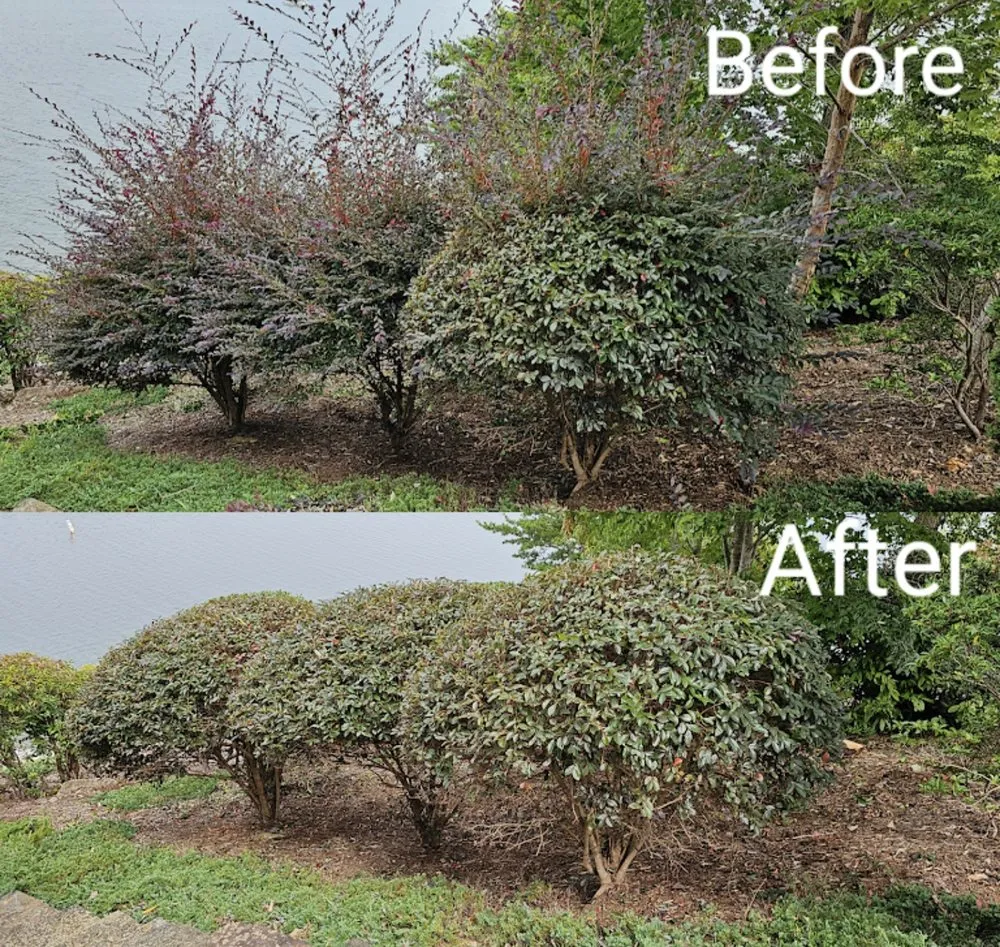 Trusted landscape design for residential properties in Nebo, NC by Tino Landscapes