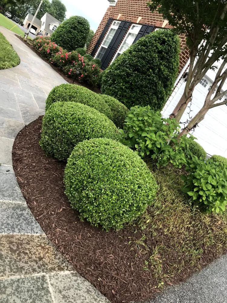 Top-rated lawn care service near you in Thurmont, MD by Tino Landscaping