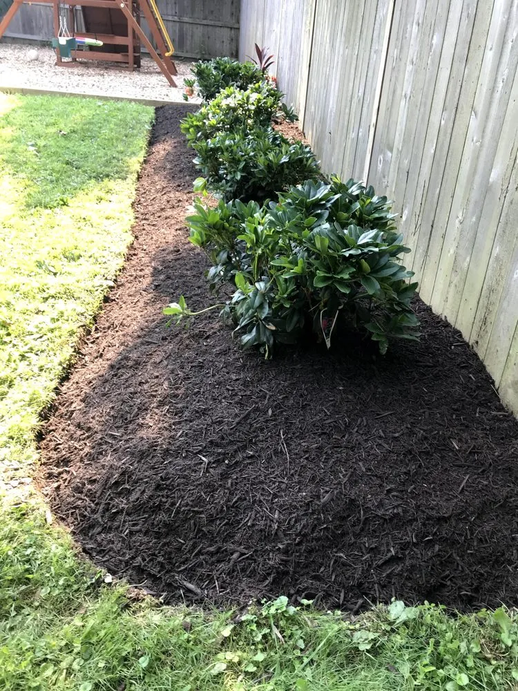 Reliable yard cleanup service experts serving Thurmont, MD - Tino Landscaping