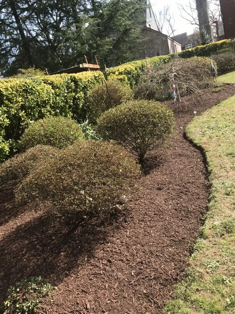 Affordable yard maintenance experts serving Thurmont, MD - Tino Landscaping