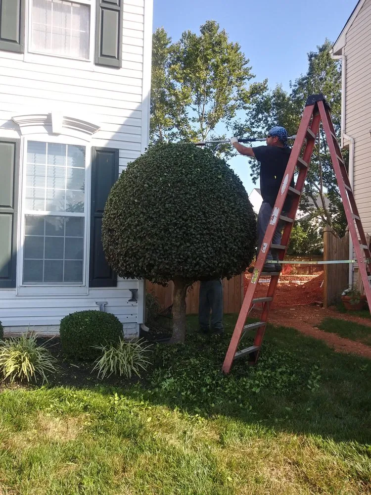 Professional lawn care service for year-round maintenance in Thurmont, MD by Tino Landscaping