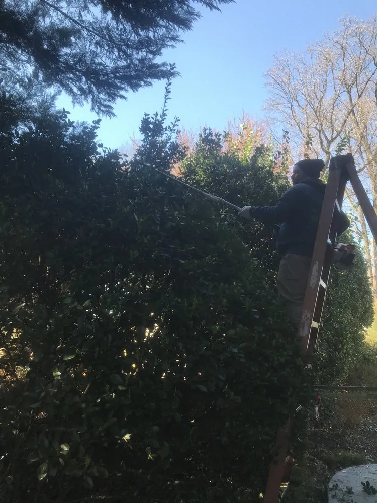 Reliable landscape installation for year-round maintenance in Thurmont, MD by Tino Landscaping