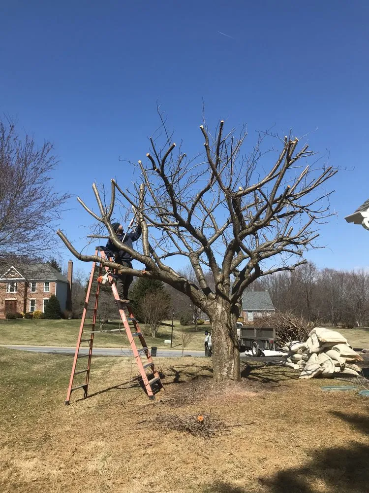 Trusted residential landscaping in Thurmont, MD - Tino Landscaping