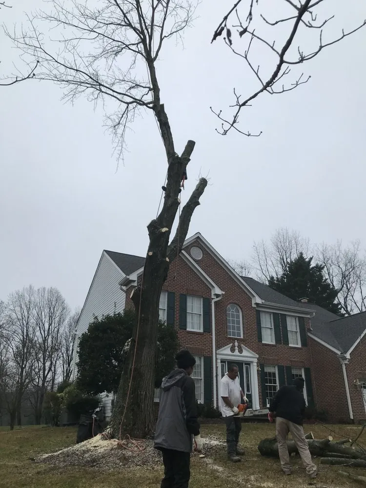 Local landscaping services in Thurmont, MD - Tino Landscaping