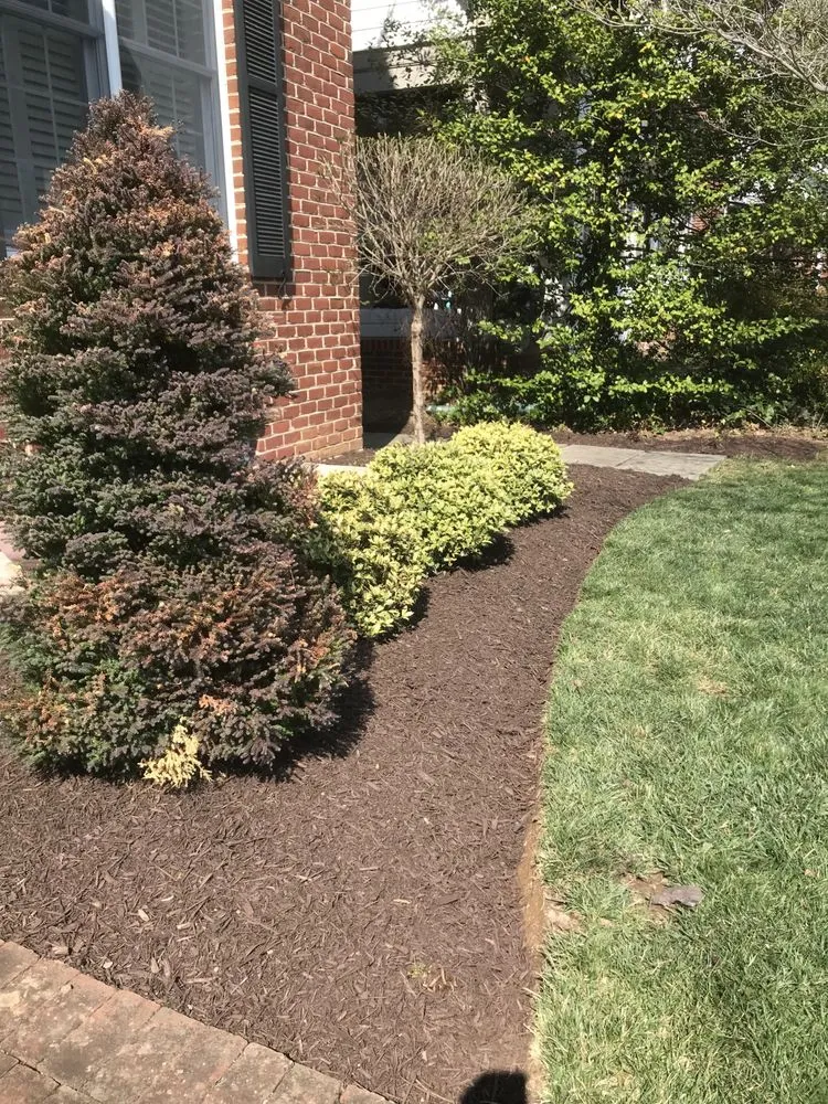 Custom yard cleanup service for homes in Thurmont, MD by Tino Landscaping
