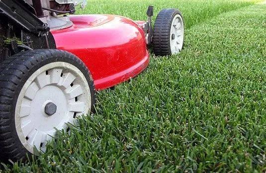 Affordable landscape installation in Alpharetta, GA by Tinoco Jr. Landscaping