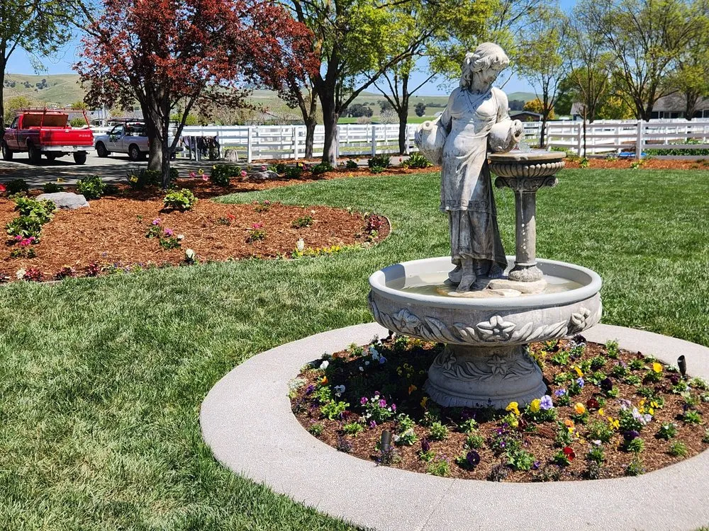 Local yard cleanup service in Antioch, CA - Tino´s Landscape & Garden