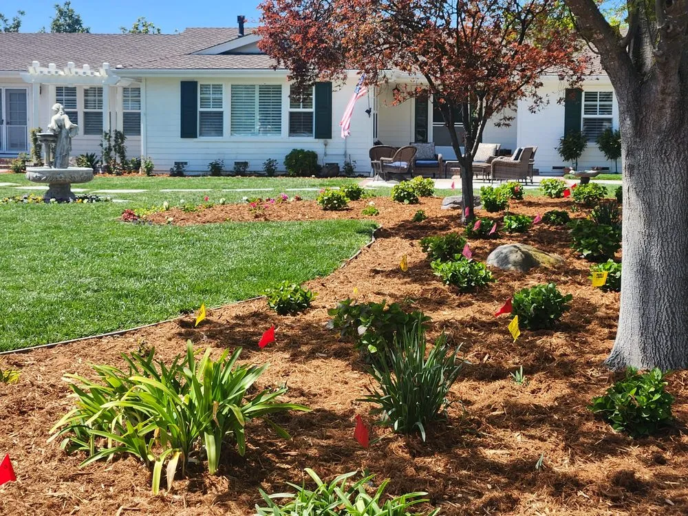 Expert outdoor landscaping in Antioch, CA by Tino´s Landscape & Garden