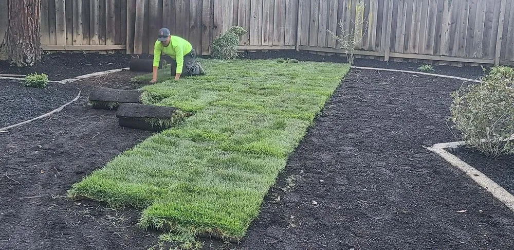 Trusted landscape design for homes in Antioch, CA by Tino´s Landscape & Garden