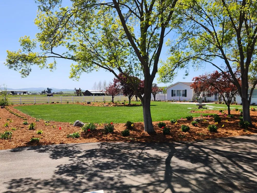 Reliable garden landscaping for year-round maintenance across Antioch, CA - Tino´s Landscape & Garden